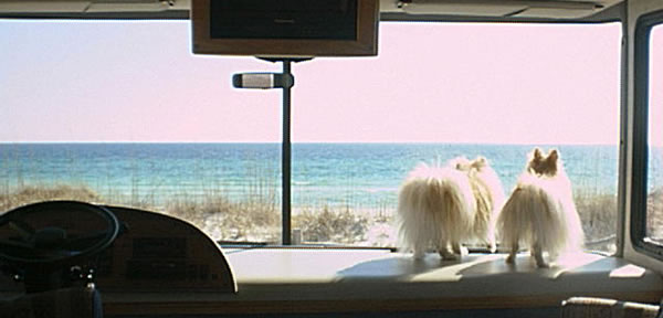 Road Trip !