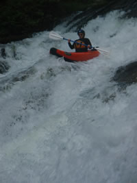 Gwen - Green River